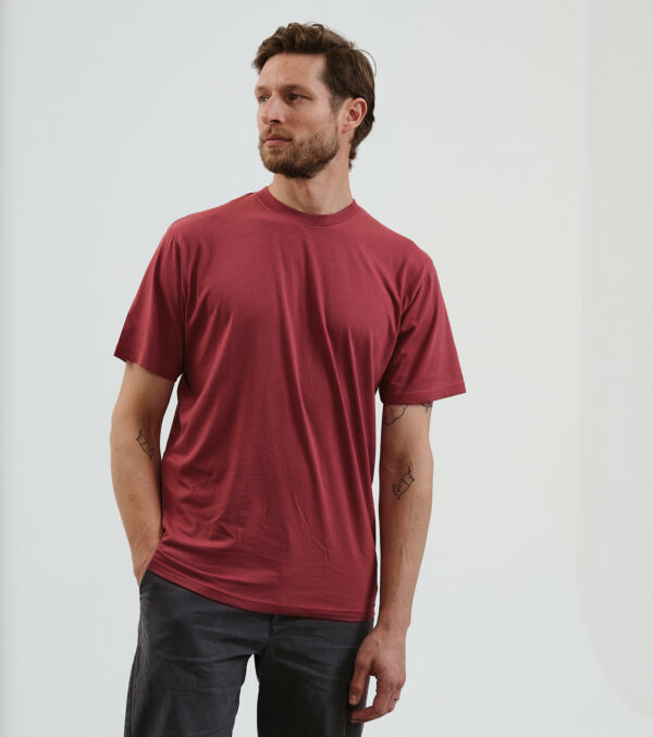 Basic Shirt masala - Image 2