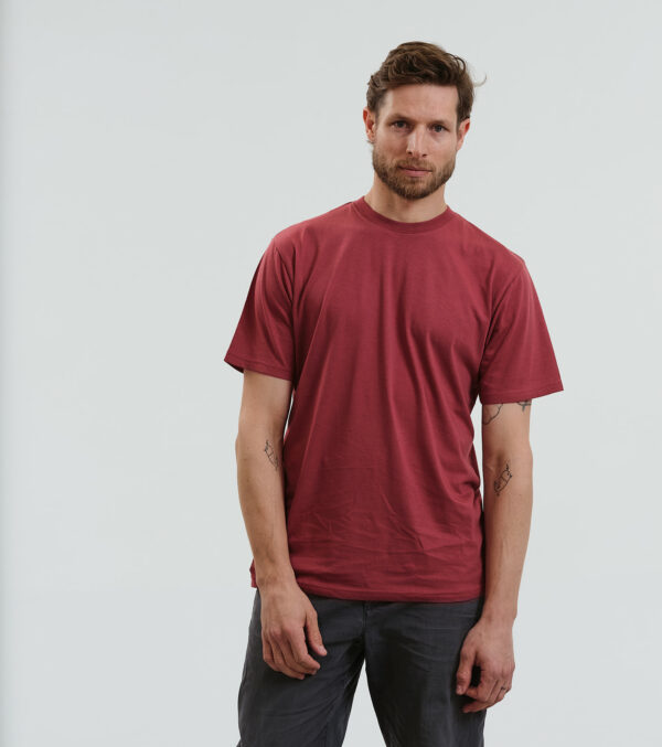 Basic Shirt masala - Image 4
