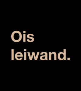 Shirt Ois leiwand. – Bild 7