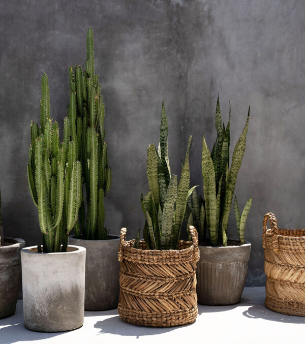 Banana leaf Basket Ø 35 cm - Image 3