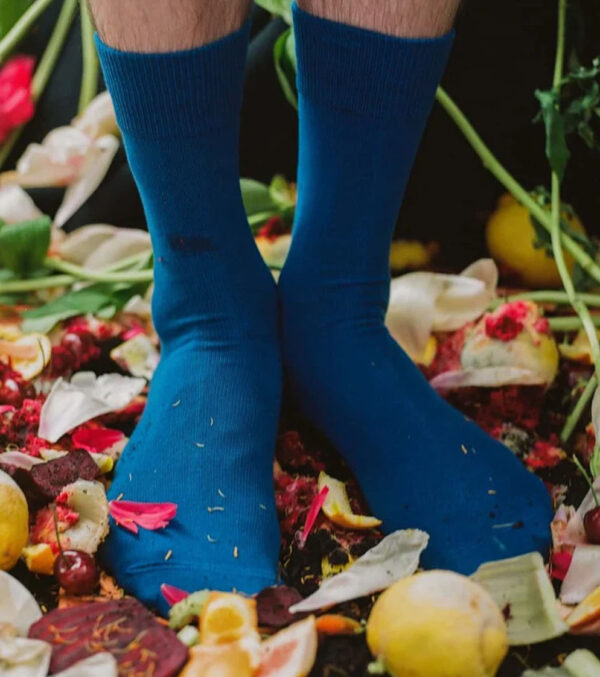 D-Compose socks 2-pack, royal blue - Image 4