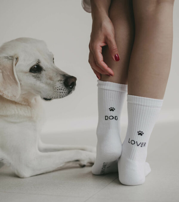 Cotton Socks dog lover white