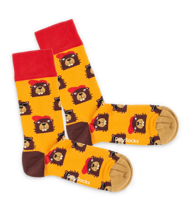 Bievers in the Hood Socks