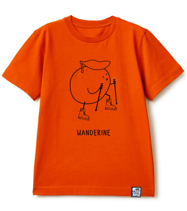 Kid's T-shirt Wanderine orange