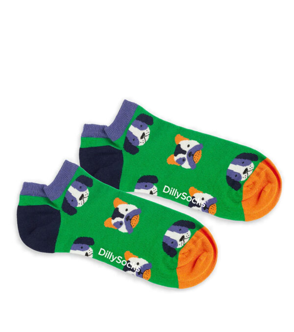 Kurze Socken Dog Portraits