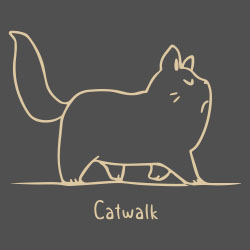 Catwalk