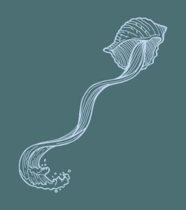 Top Grace Shell - Image 3