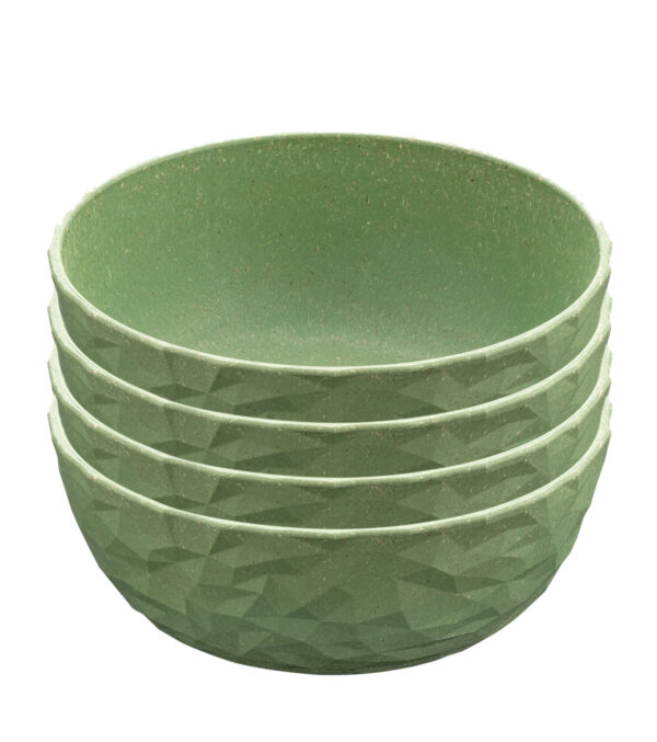Schale Club Bowl 4er-Set leaf green