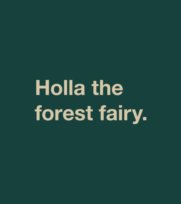 Shirt Asheville Holla the forest fairy. - Image 4