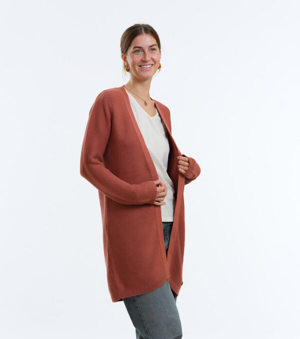 Long-Cardigan Alamo chutney