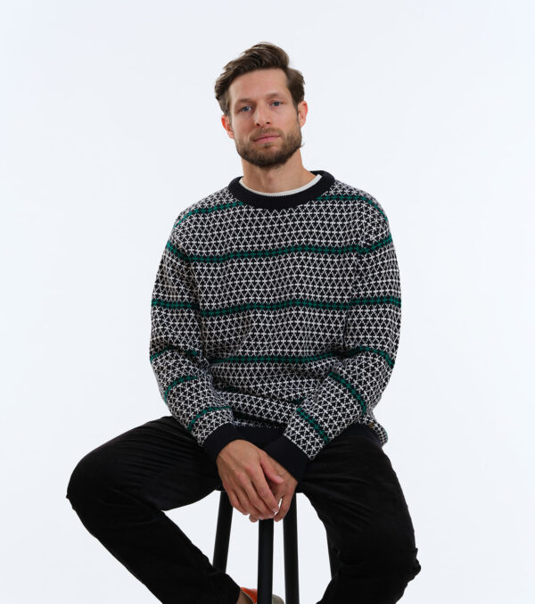 Herren-Strickpullover James Muster mehrfarbig – Bild 4