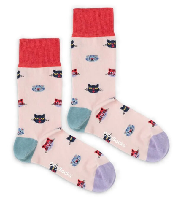 Curious Cats Socks