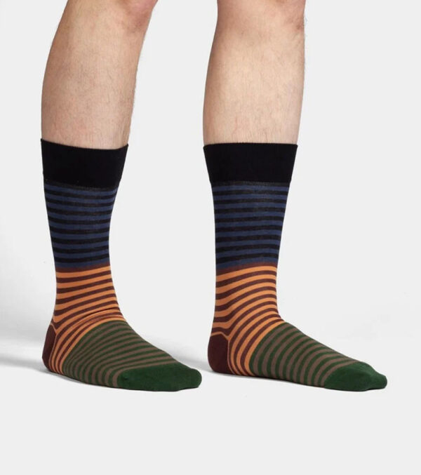 Earthy Stripes Socks - Image 3