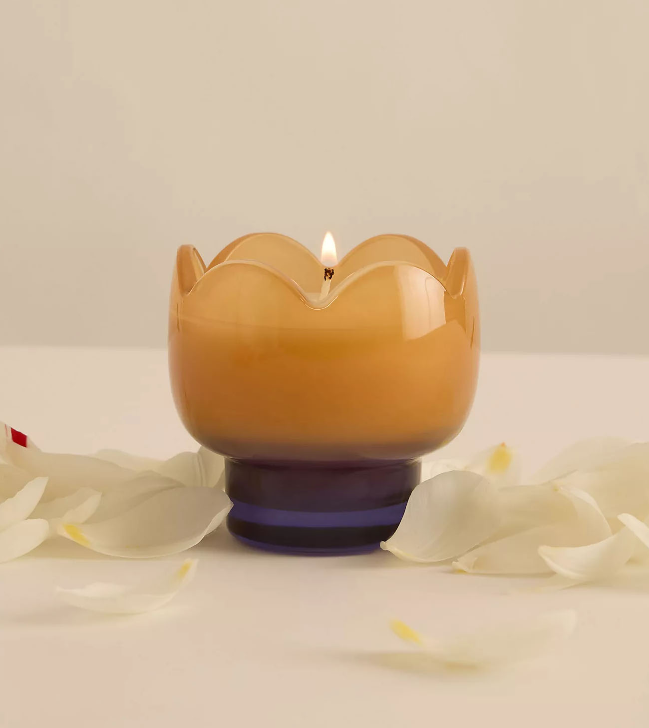 Tulip Candle Garden & Grove - Image 3