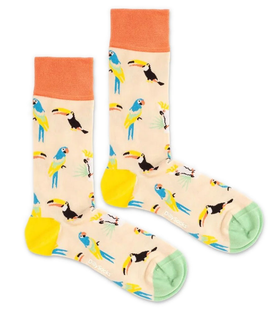 Sand Aviary Socks