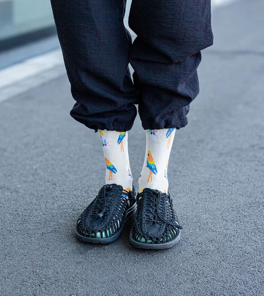 Sand Aviary Socks - Image 5