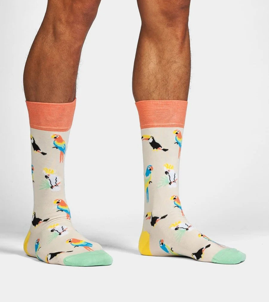 Sand Aviary Socks - Image 3