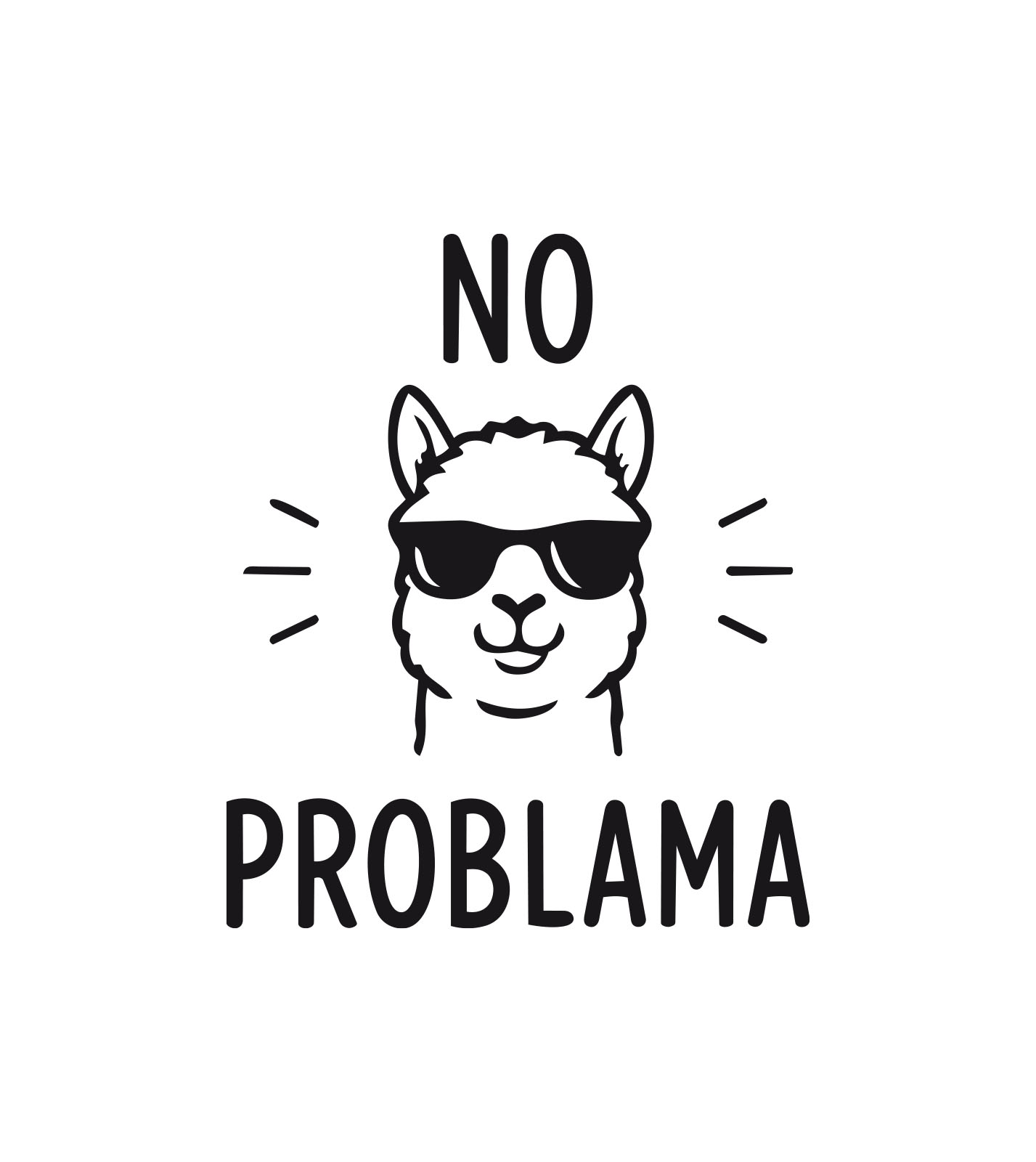 Shirt Asheville No Problama – Bild 2